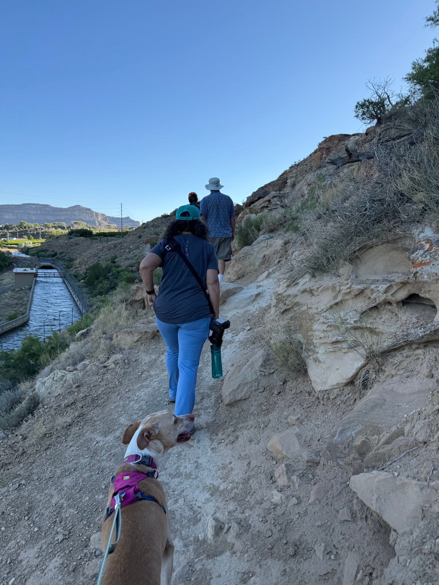 Went hiking in Palisade last week and saw some Petroglyphs!