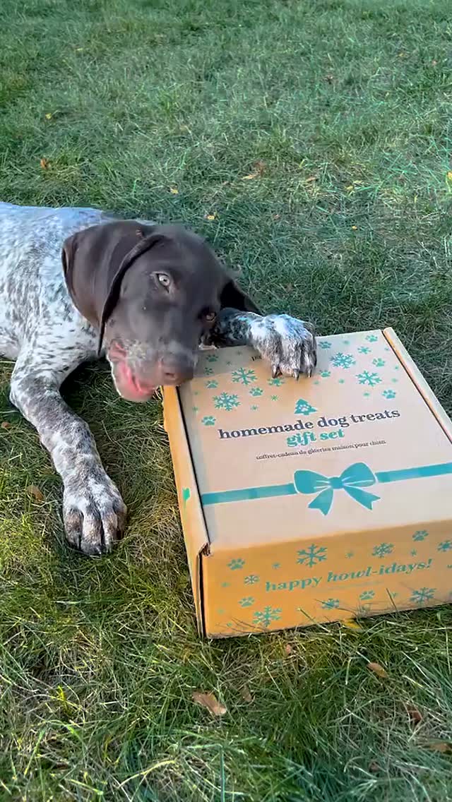 🎁 Paws up! Are you looking for the perfect gift for the dog lovers in your life?🐾 The Homemade Dog Treats Gift Set has everything you need to bake tail-wagging treats!🐶✨It includes:
• Pumpkin Pie Dog Treat Mix that’s made with 100% human-grade ingredients for homemade treats. 🐾(This mix is also veterinarian-reviewed AND AAFCO-approved!)
• Dog Bone Biscuit Cutter that  you can easily use to make bone-shaped biscuits for your pup.🦴
• Mason Jar that’s great for storing (or gifting) your homemade treats. 🥣
• Recipe Card that’ll help you make delicious Homemade Pumpkin Pie Dog Treats.📖
• Beautiful Gift Box that’s ready to gift to friends, family, or coworkers! 🎀

This festive gift set is guaranteed to delight pups and dog owners alike. So, grabs yours while supplies last! 🐕💛 Comment below or send me a message for a link! 

#DogLovers #HomemadeTreats #PamperedPets #GiftIdeas